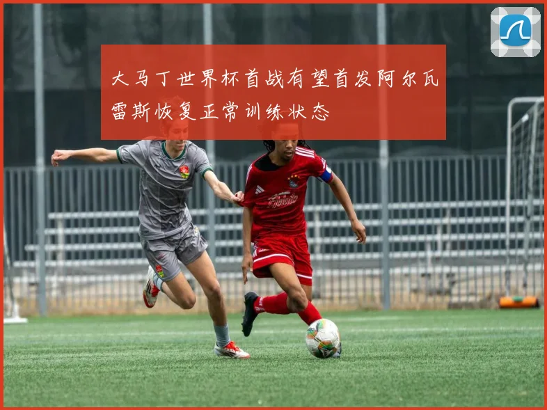 大马丁世界杯首战有望首发阿尔瓦雷斯恢复正常训练状态